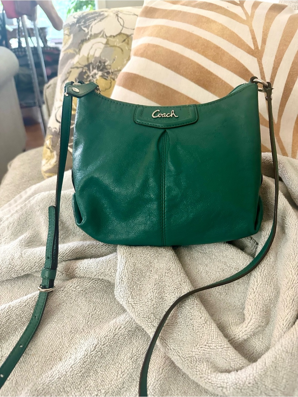 Coach Ashley Y2K Style Teal Leather Crossbody Bag Silver Hardware - Picture 11 of 14